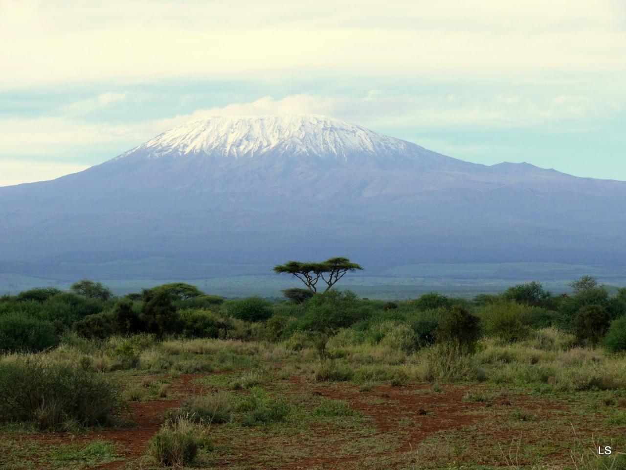 Kilimandjaro/Kilimanjaro (1)