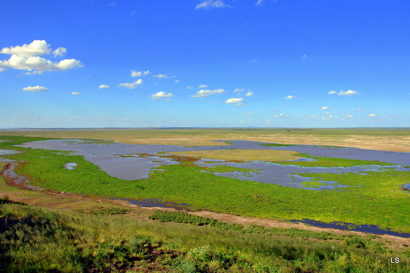 Amboseli (10)
