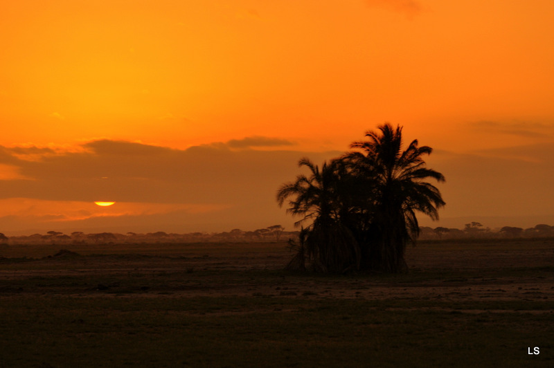 Amboseli (22)