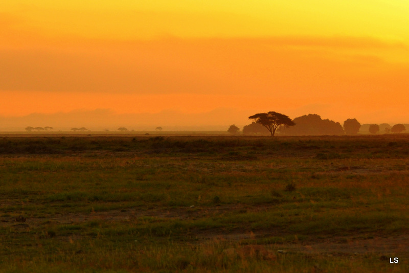 Amboseli (23)