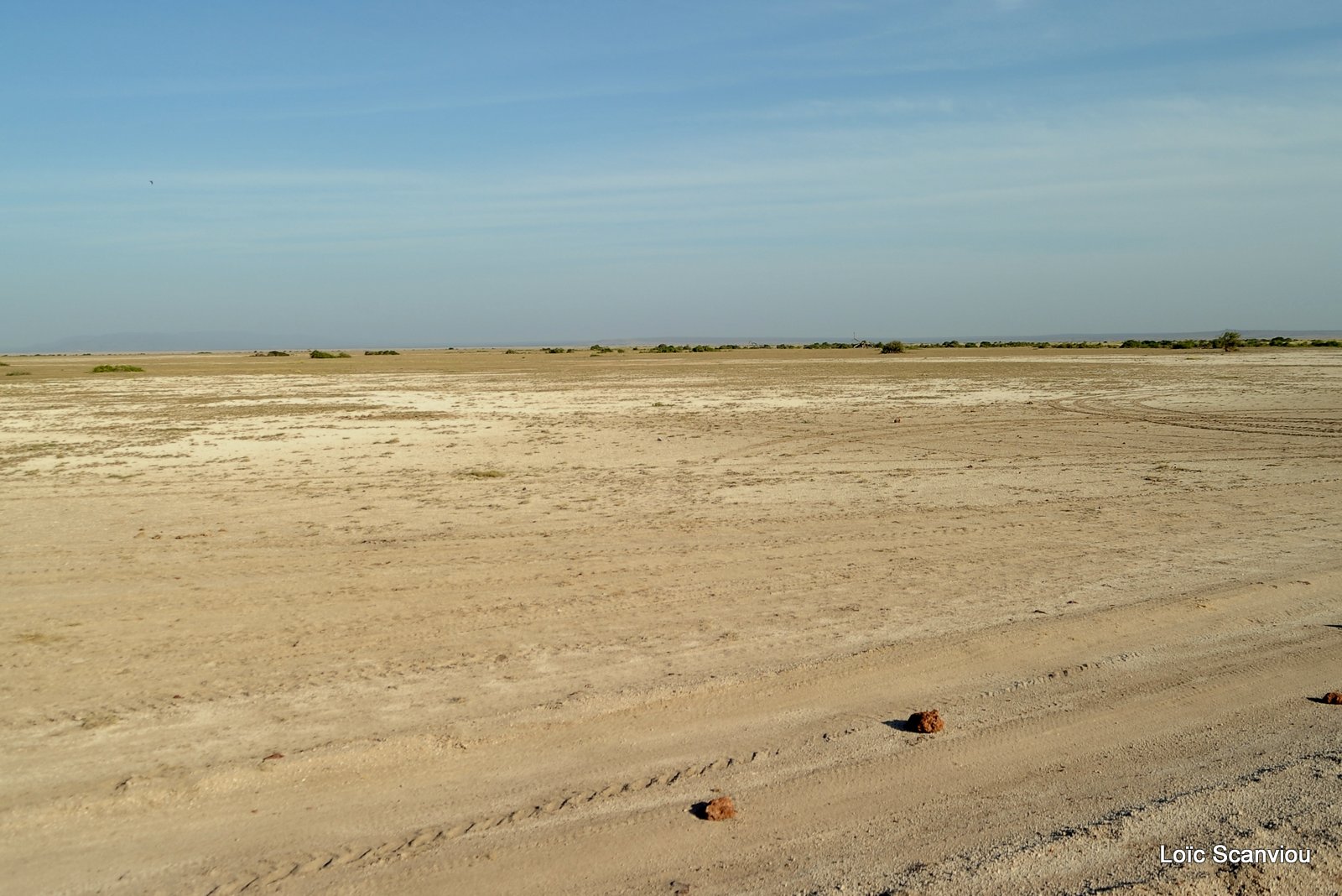 Amboseli (2)