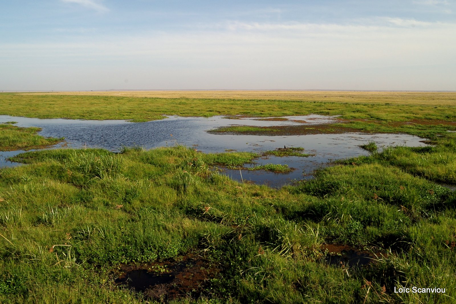 Amboseli (3)