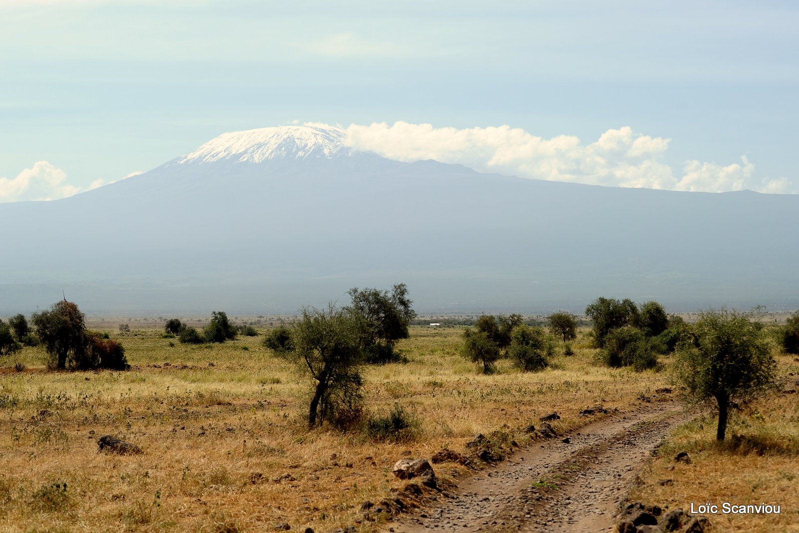 Amboseli 2012 (131)