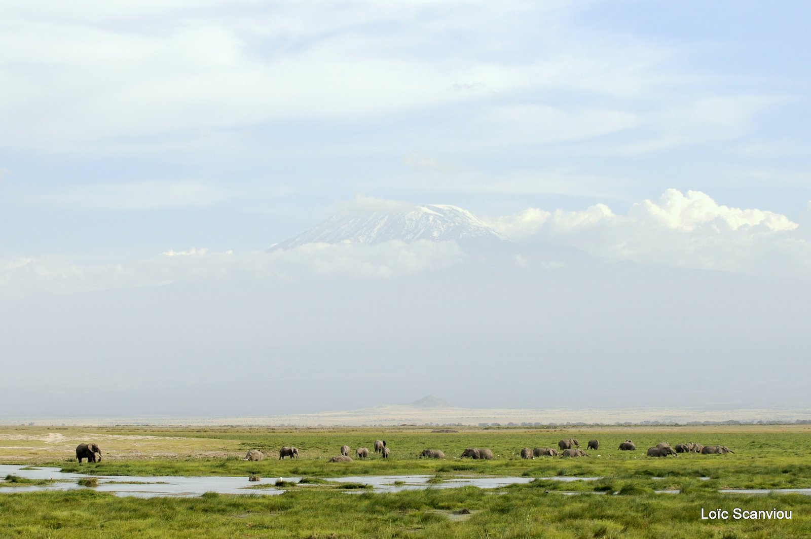 Amboseli (4)