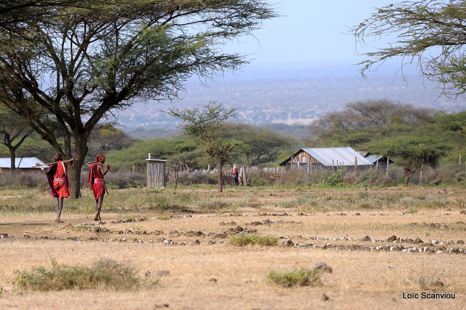 Village massaï (1)