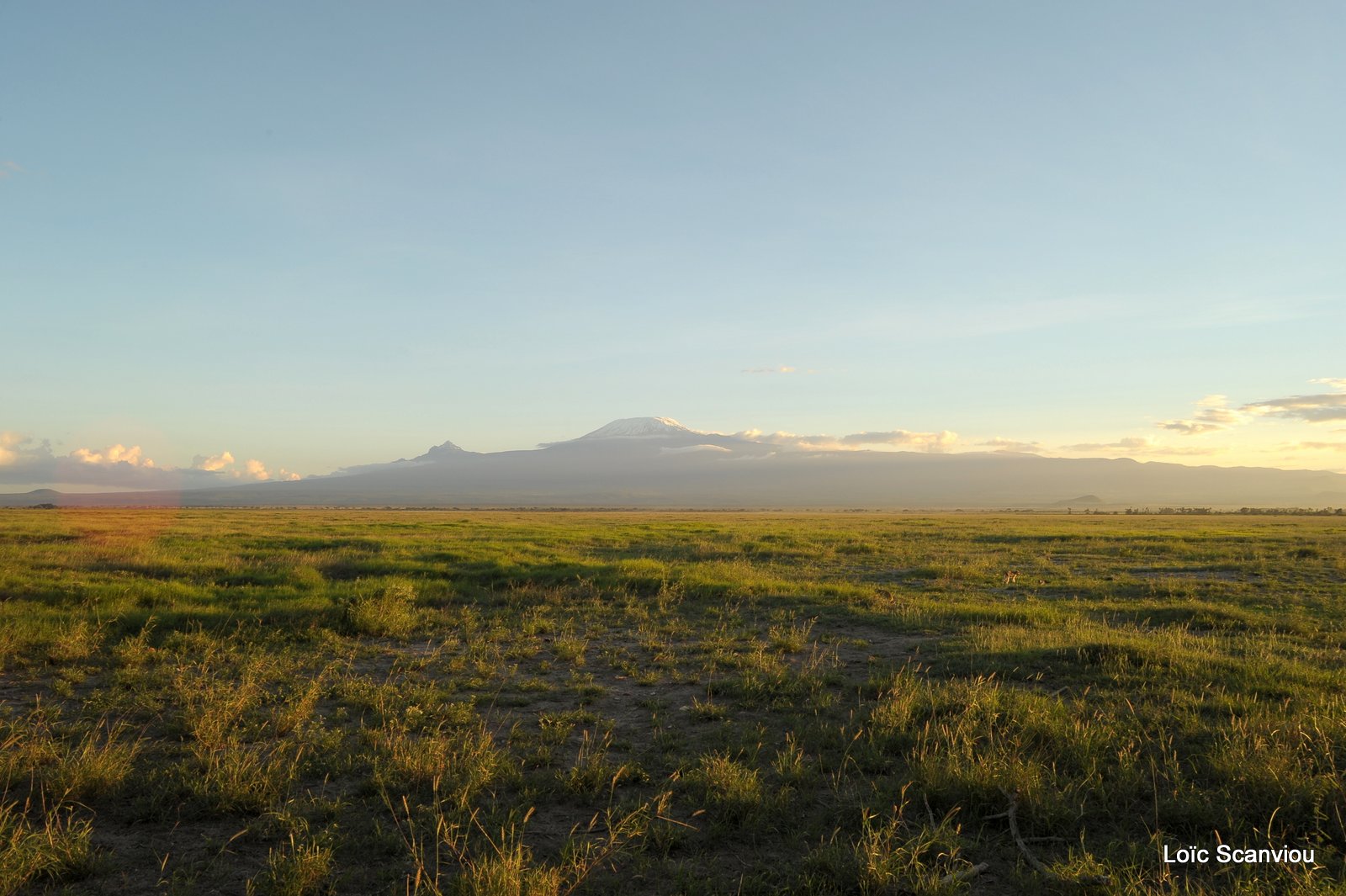 Amboseli (1)