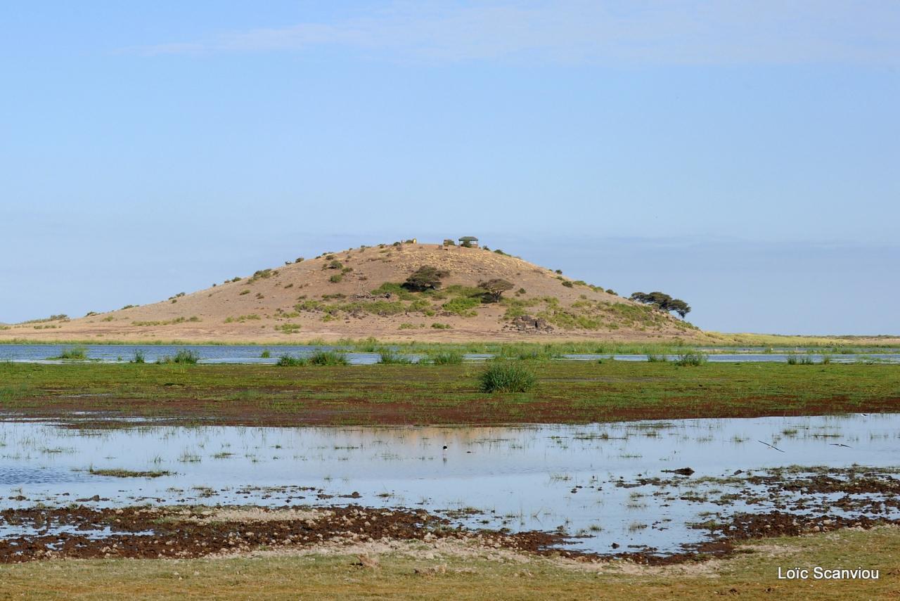 Amboseli (12)