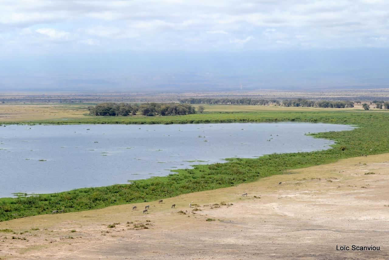 Amboseli (14)