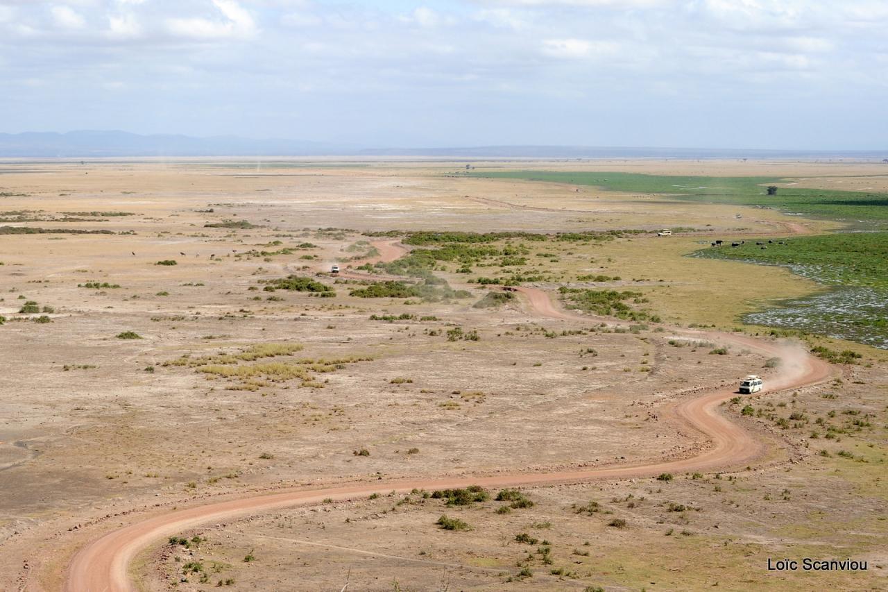 Amboseli (15)