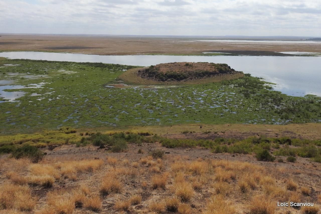 Amboseli (16)