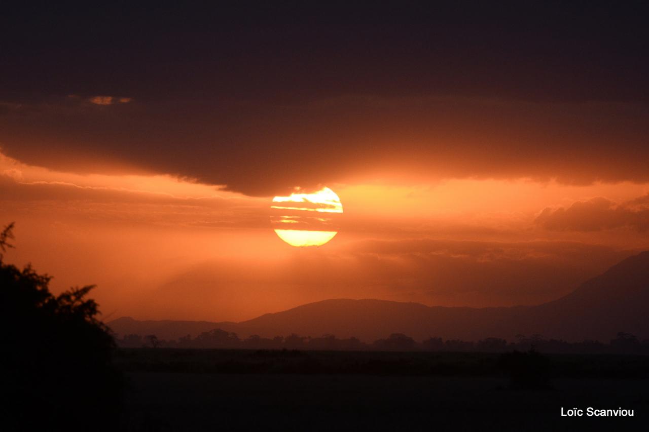 Amboseli (2)