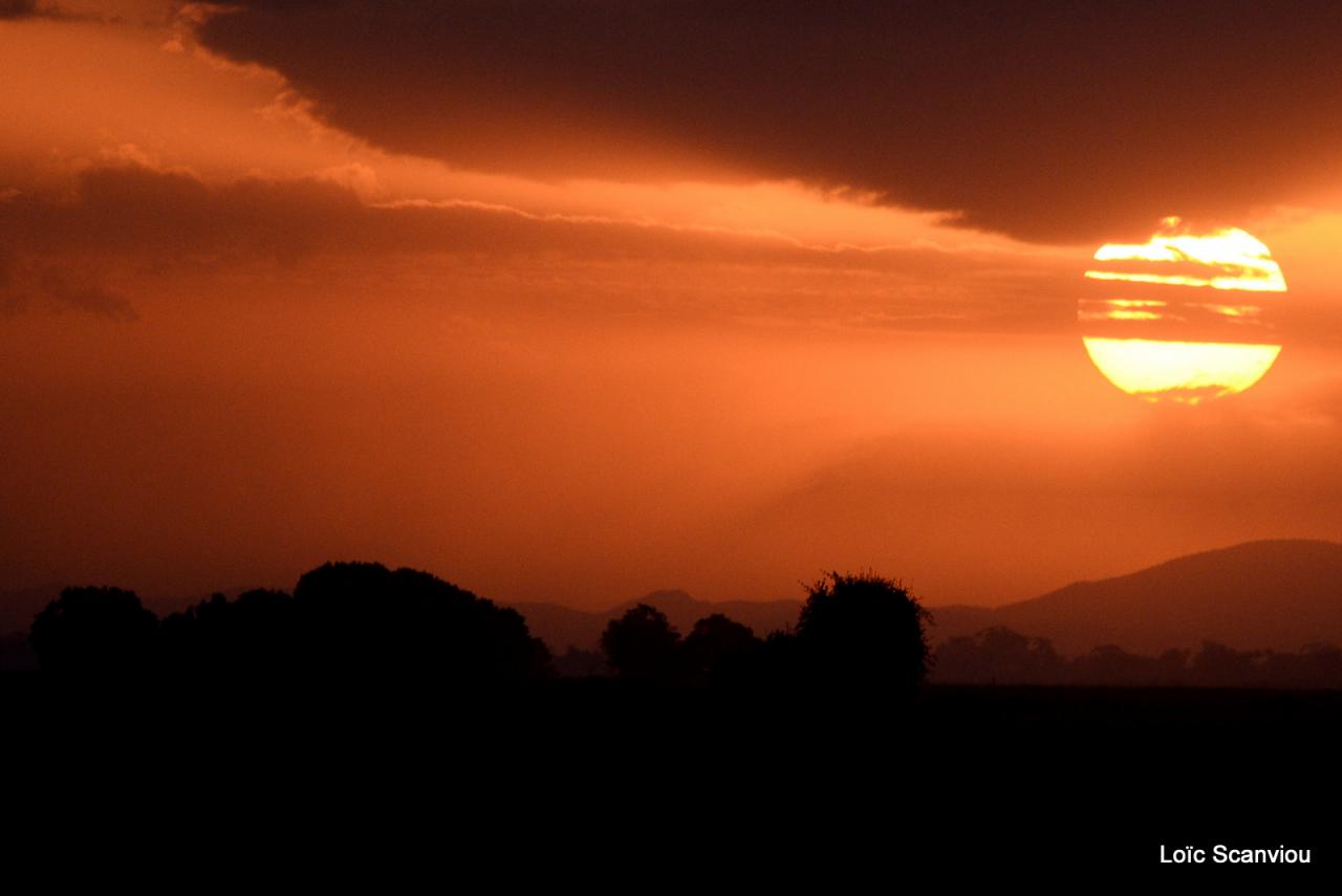 Amboseli (3)