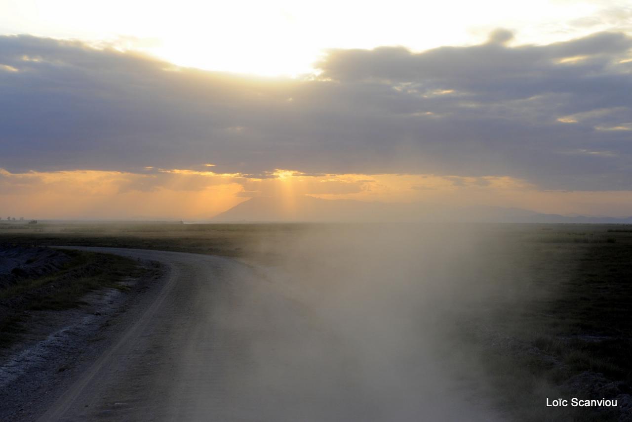 Amboseli (6)