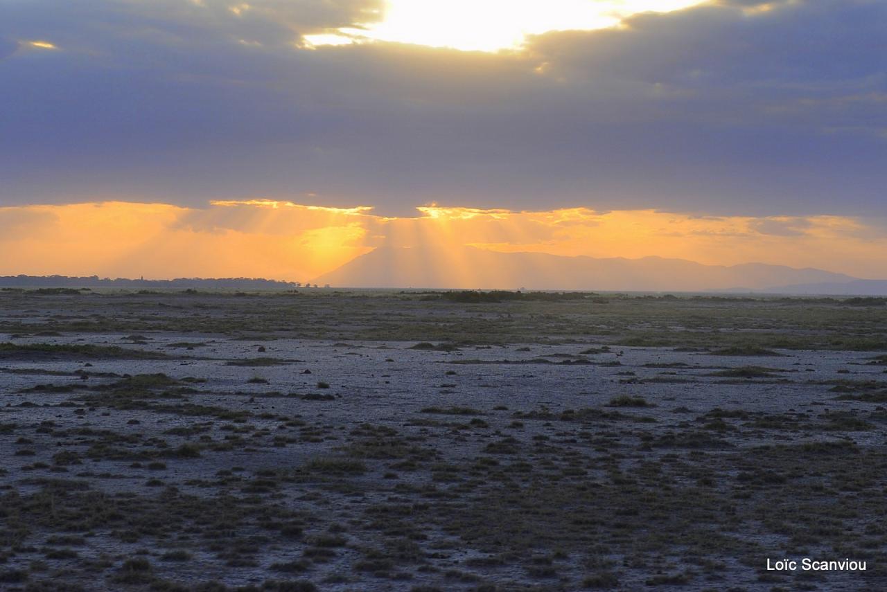 Amboseli (7)