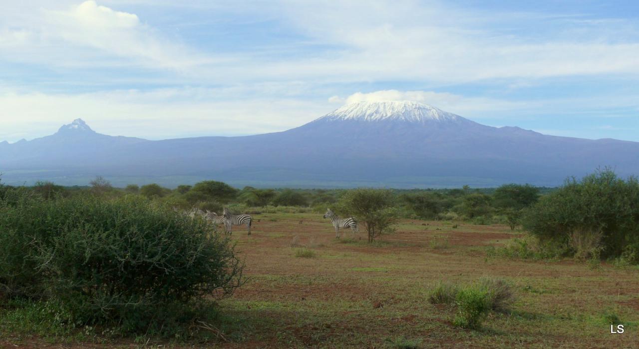 Kilimandjaro/Kilimanjaro (2)