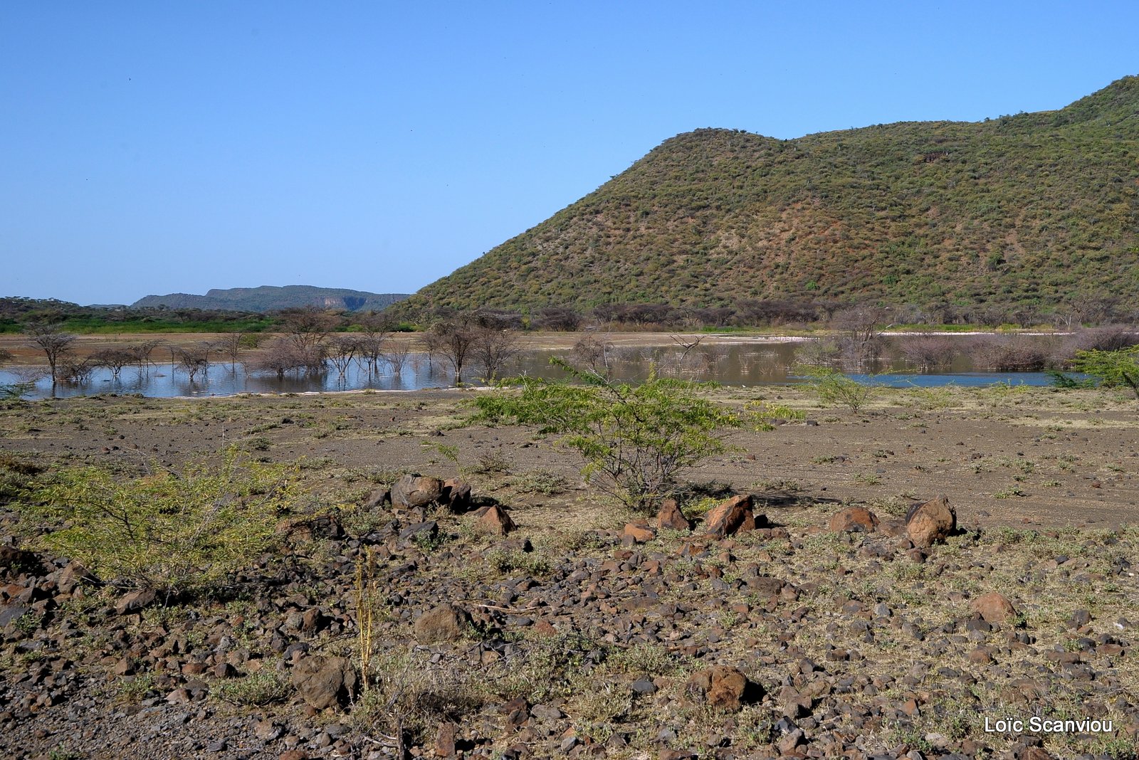 Bogoria 2013 (3)