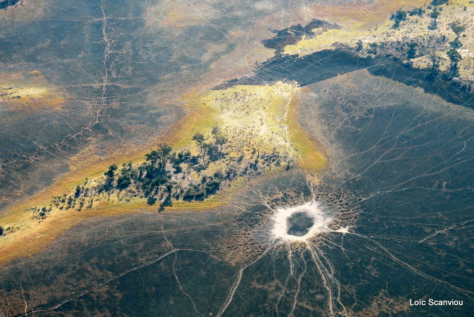 Botswana (1)