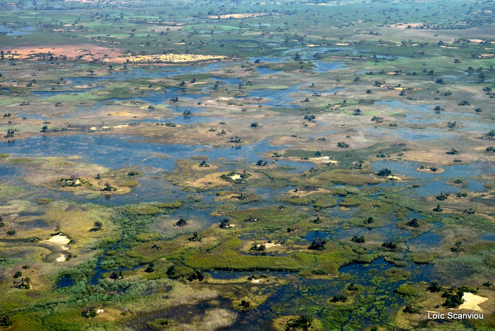 Botswana (11)