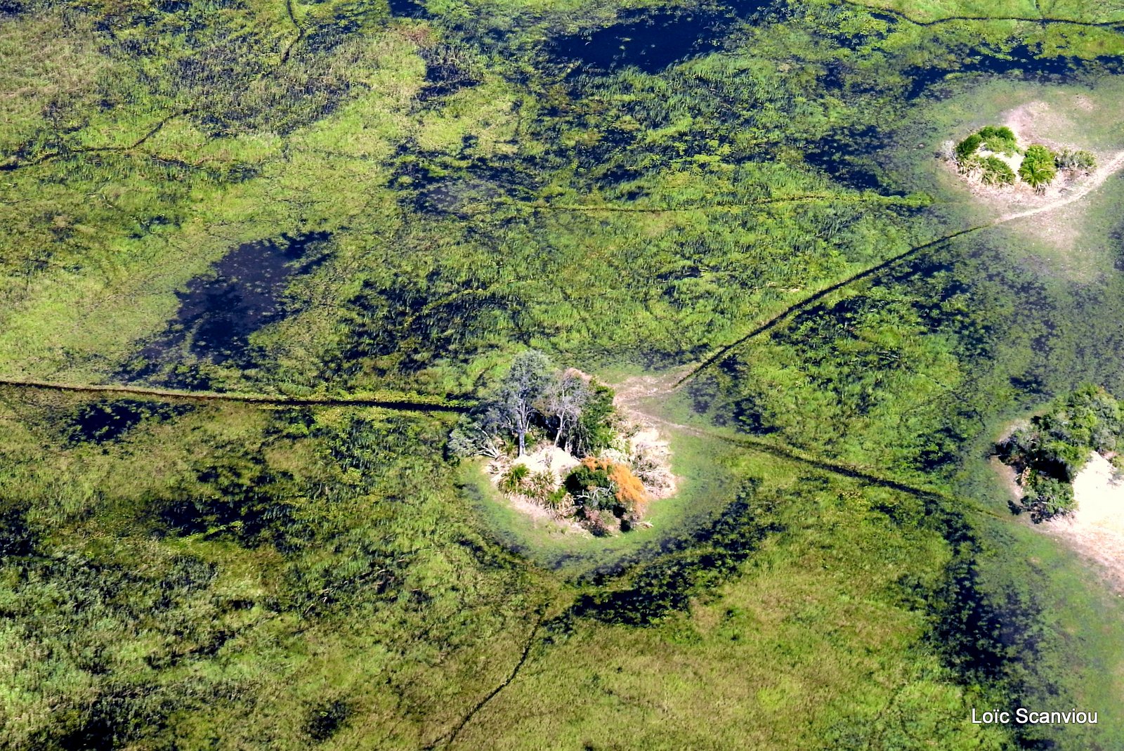Botswana (12)