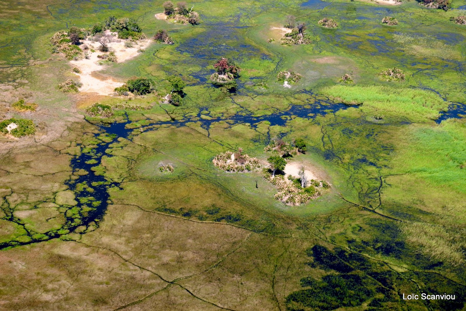 Botswana (13)