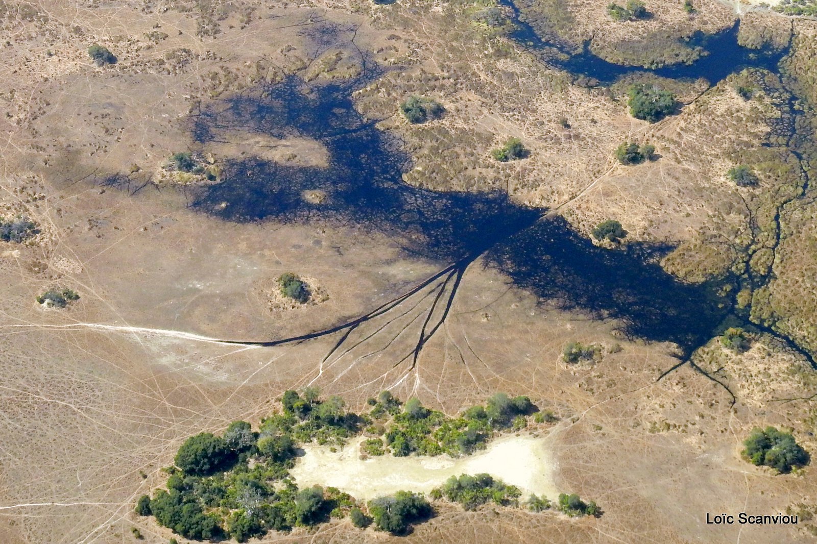 Botswana (14)