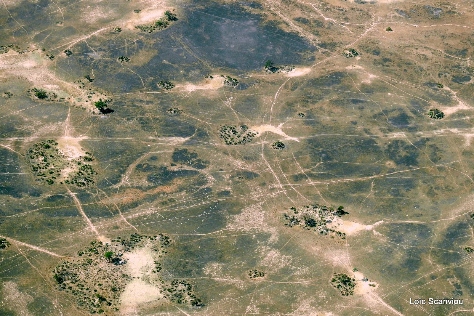 Botswana (15)
