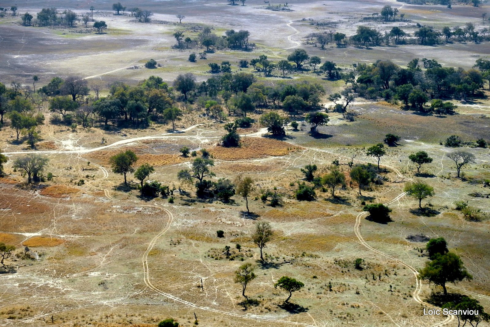 Botswana (17)
