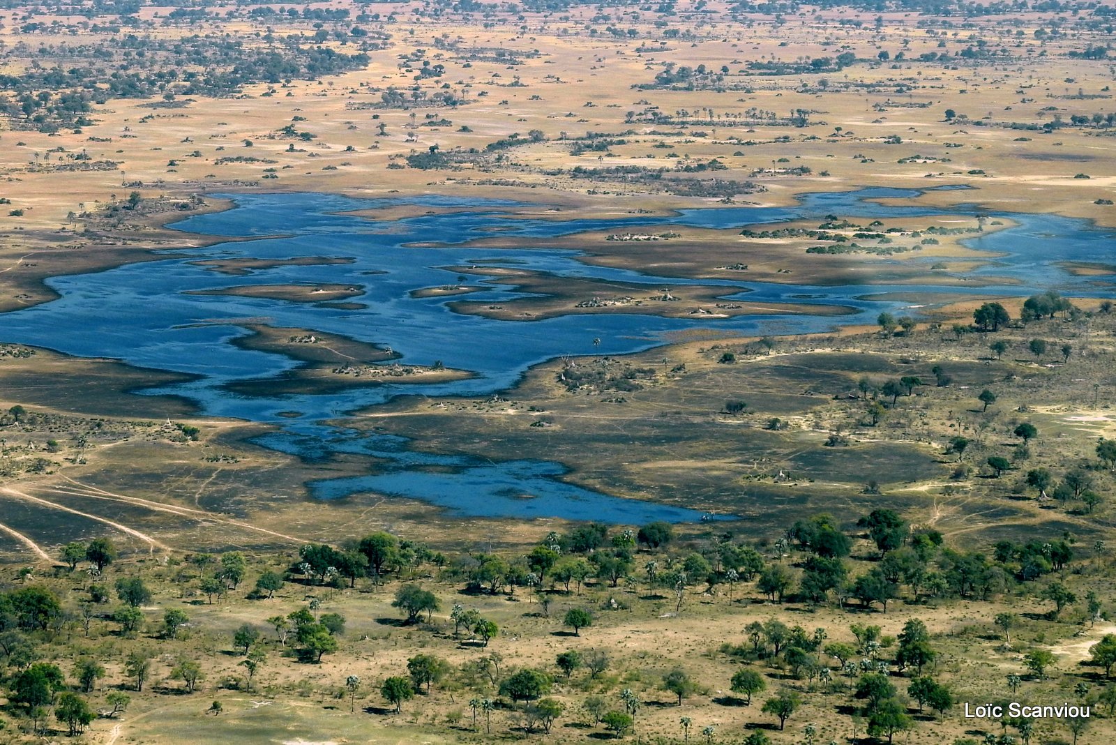 Botswana (19)