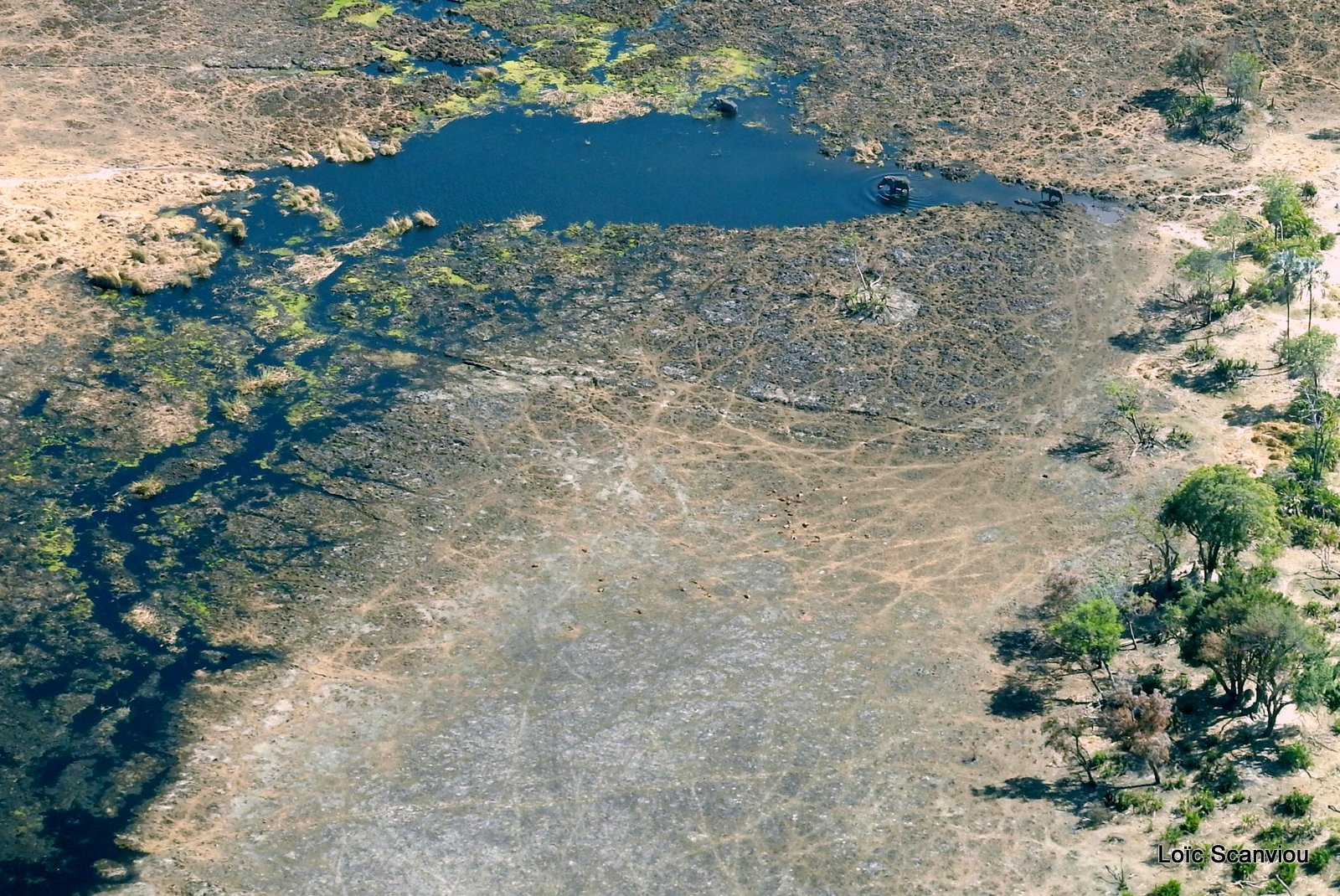 Botswana (20)