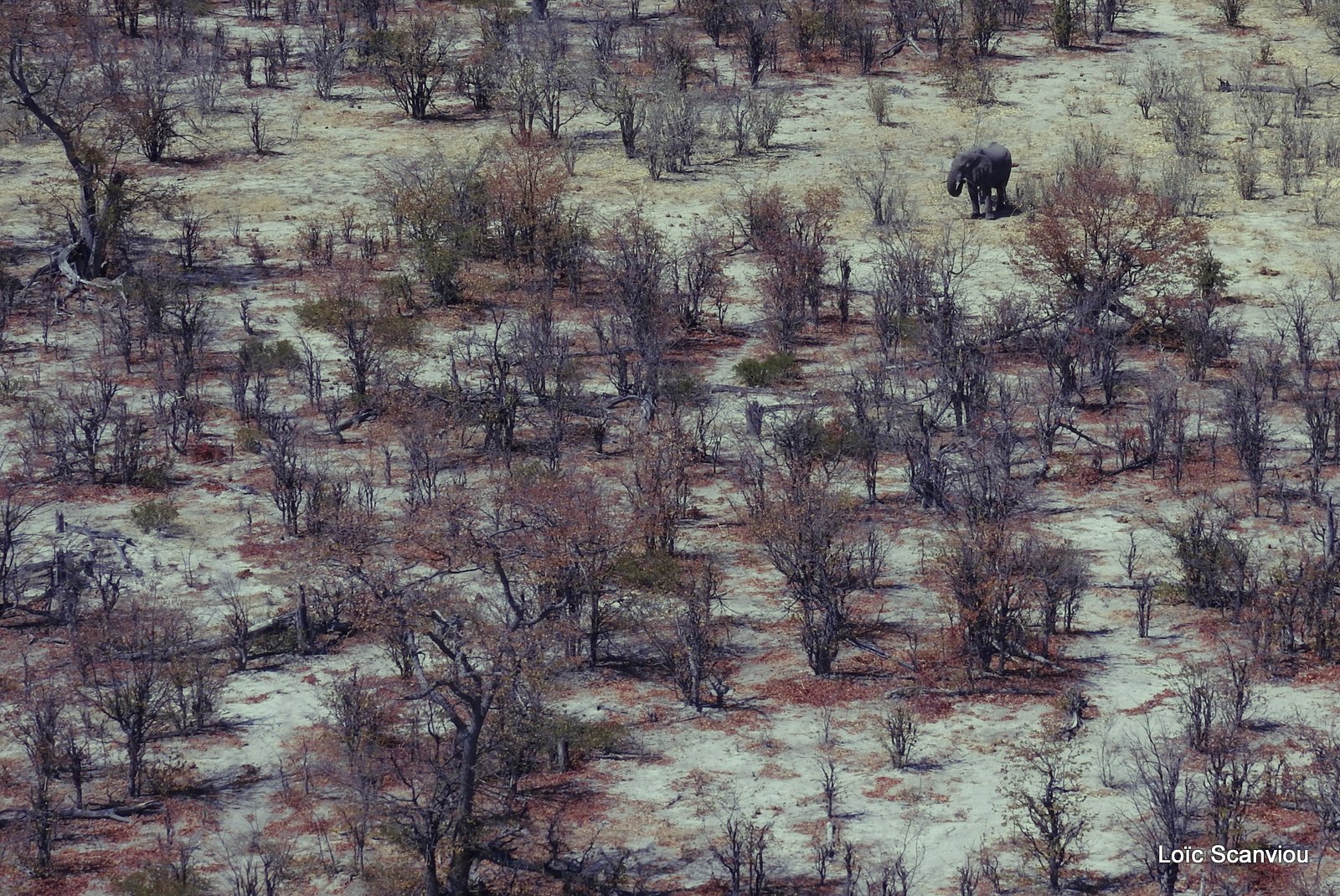 Botswana (28)