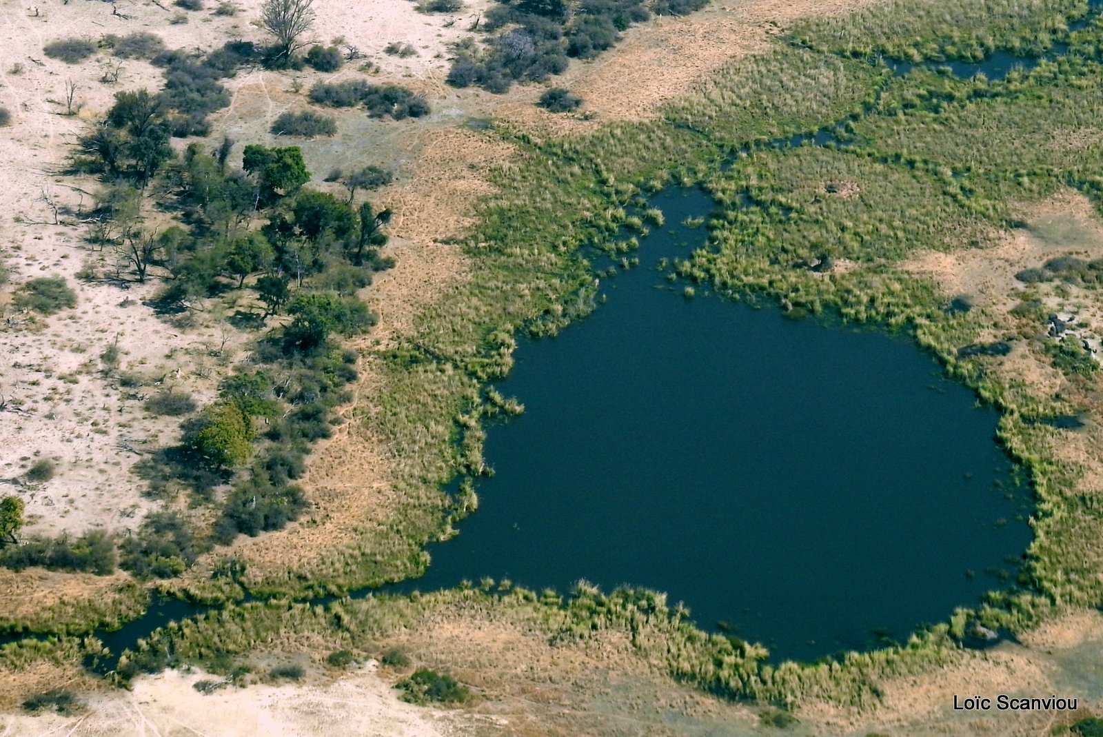 Botswana (7)
