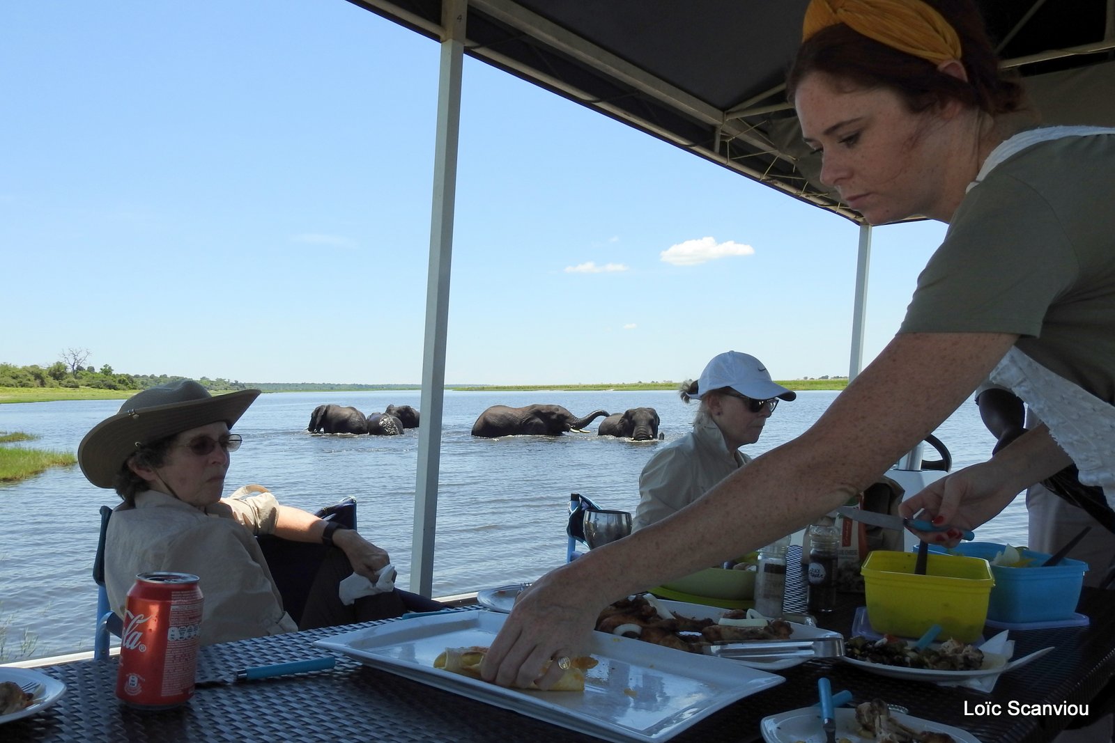 Chobe River Front 2020 (326)