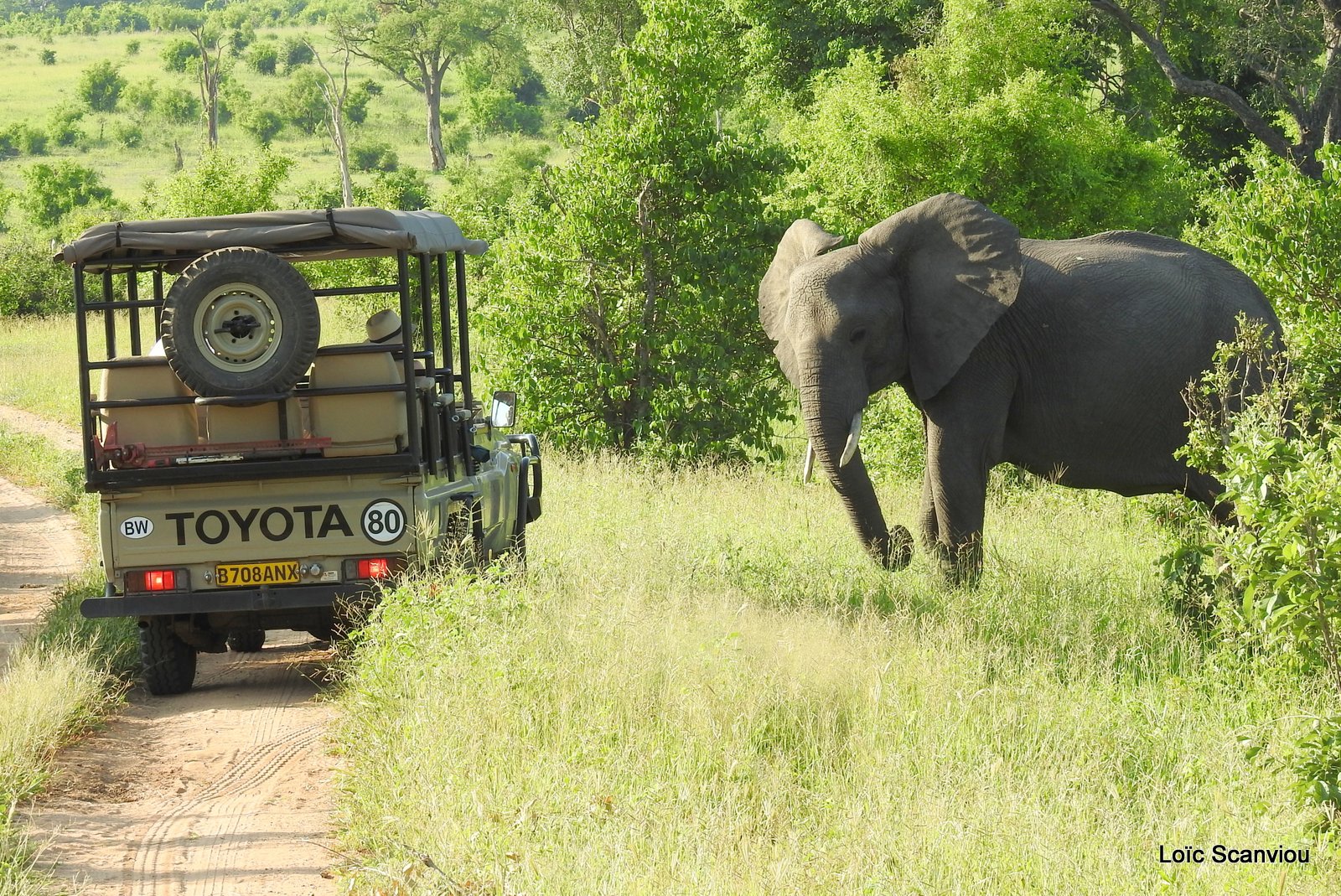 Chobe River Front 2020 (353)