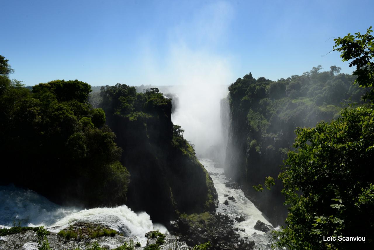 Chutes Victoria (4)