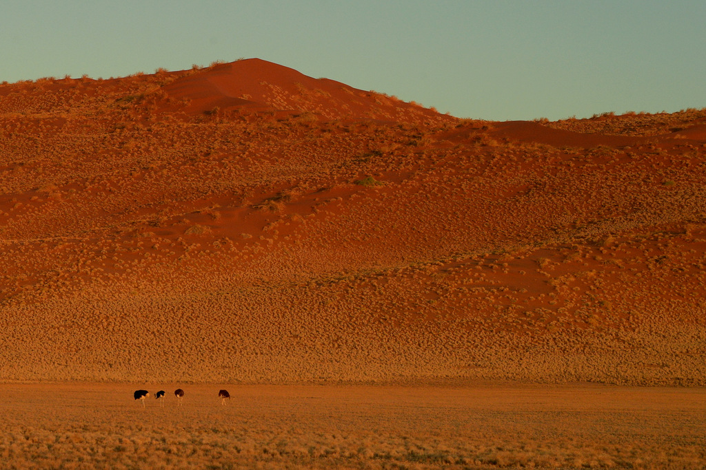 Dunes
