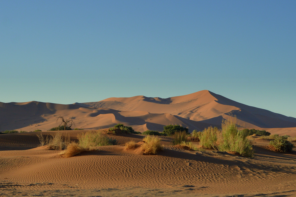 Dunes
