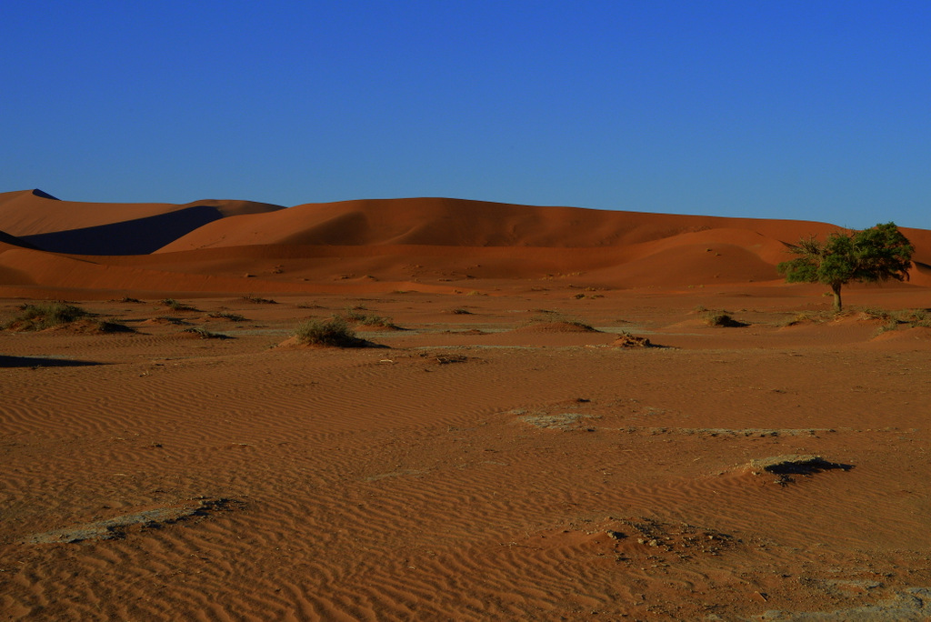 Dunes