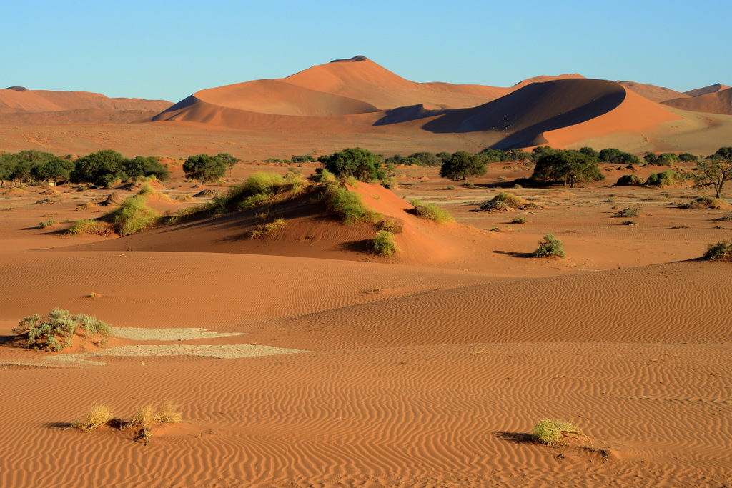 Dunes