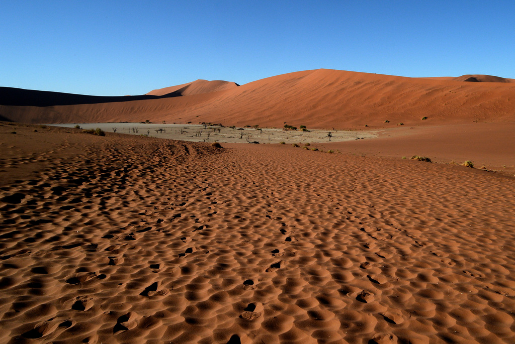 Deadvlei