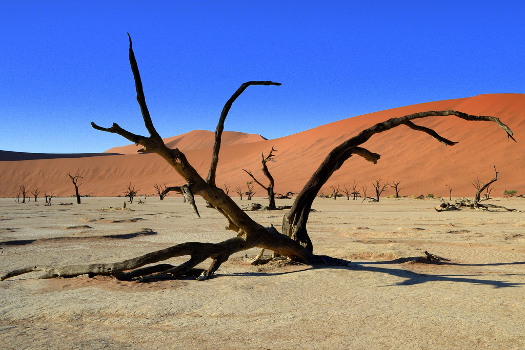 Deadvlei