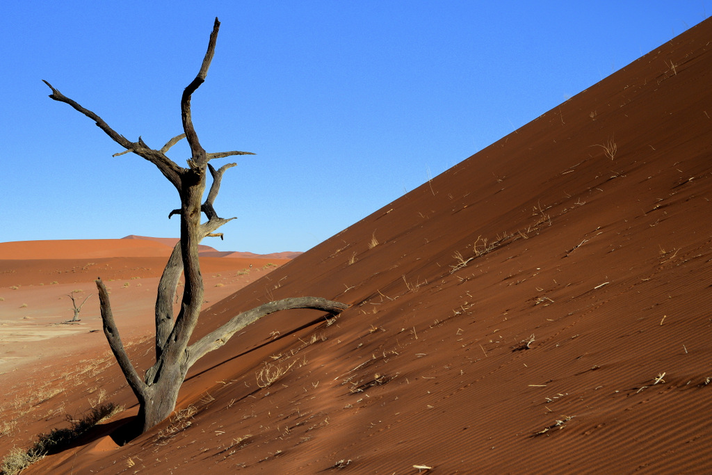Deadvlei