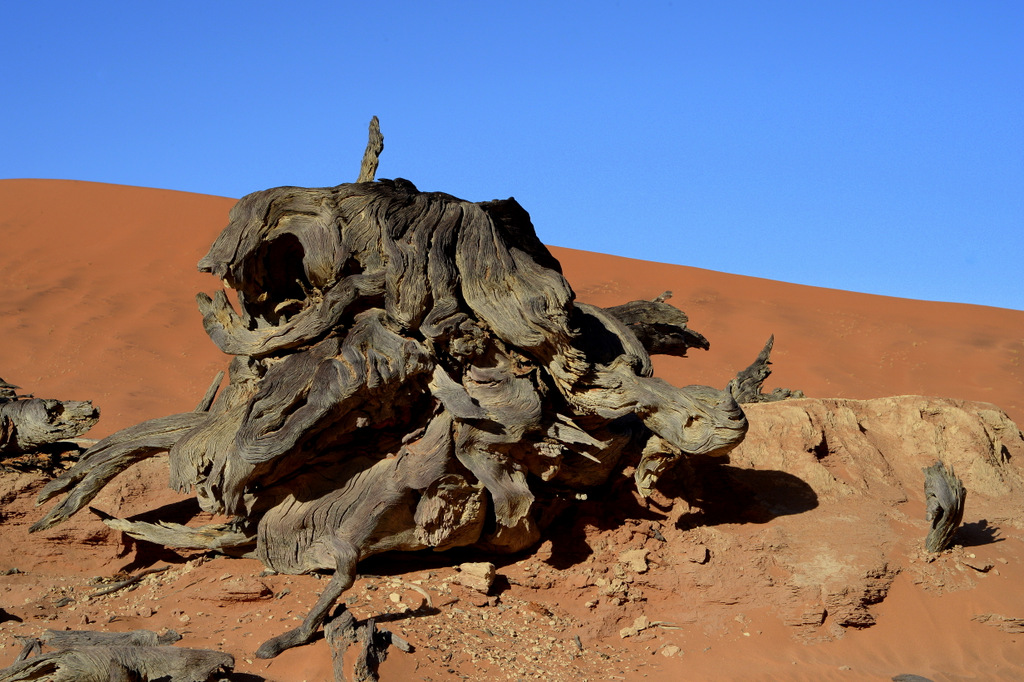 Deadvlei