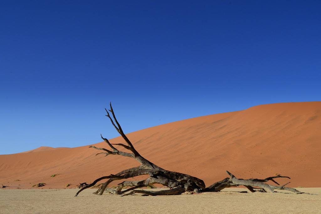Deadvlei