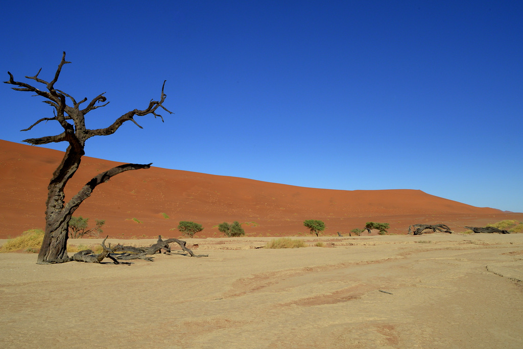 Deadvlei