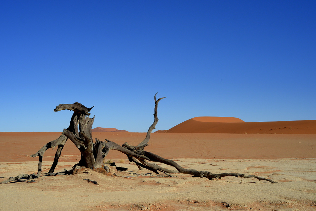 Deadvlei