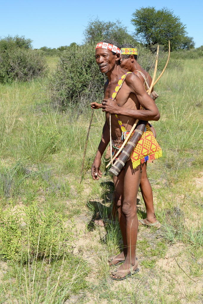 Bushmen (4)