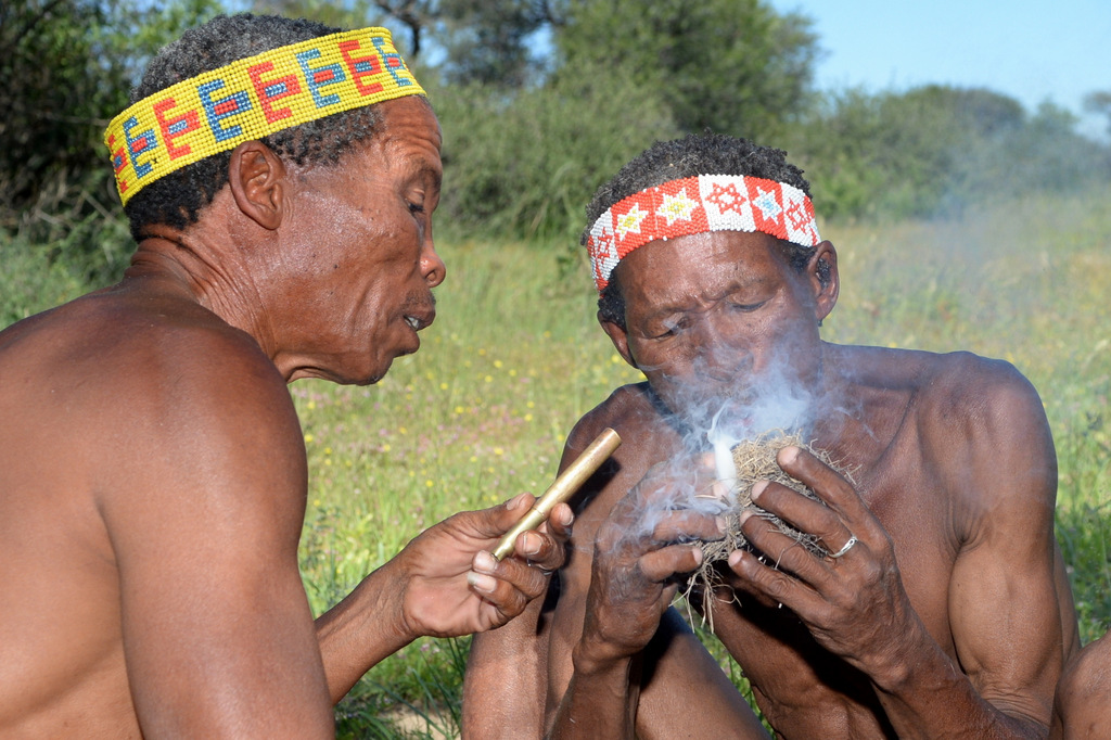 Bushmen (19)