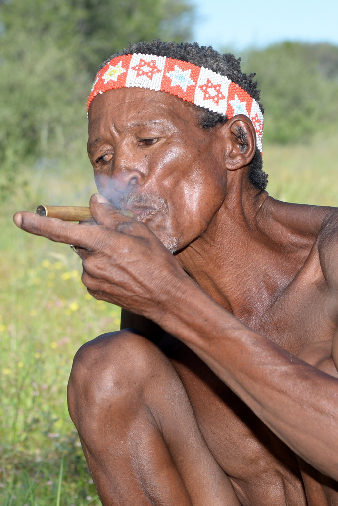 Bushmen (21)