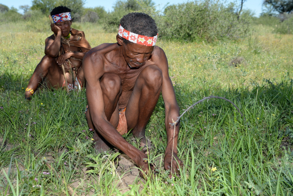 Bushmen (22)