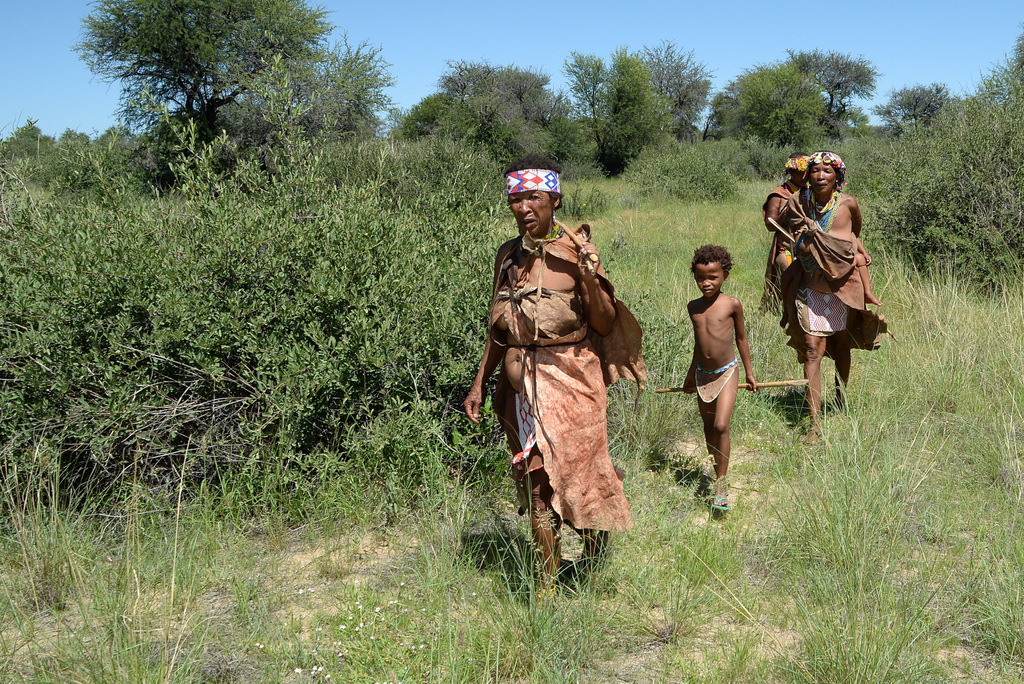 Bushmen (25)